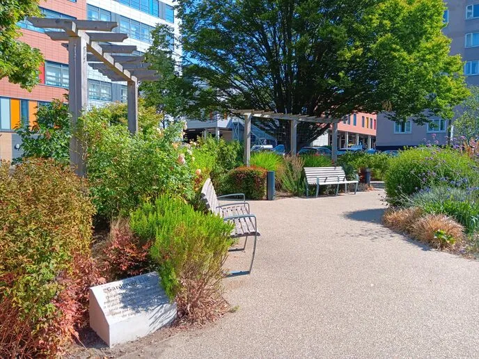 The gardens at Queen Alexandra Hospital